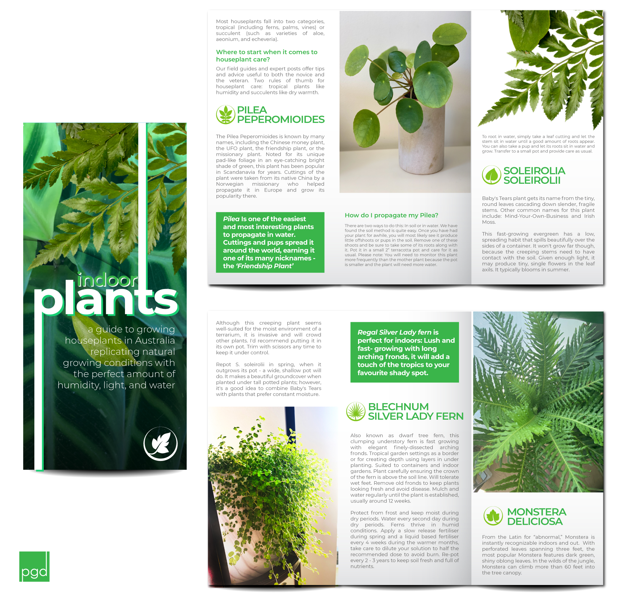 DL sized Indoor Plant Guide Brochure